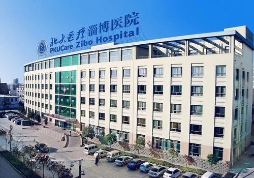 中國醫(yī)院院長 北大醫(yī)療淄博醫(yī)院,企業(yè)醫(yī)院改制路上的拓荒者