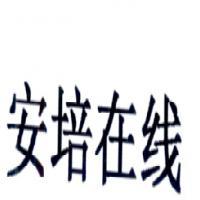 合肥朗霽軟件技術(shù) 專業(yè)計算機(jī)軟件咨詢服務(wù)解析